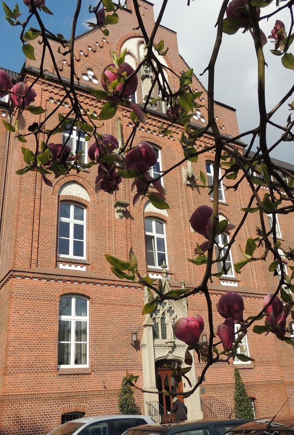 Frontansicht mit Haupteingang. Foto: Franziskanerinnen von Lüdunghausen e.V.